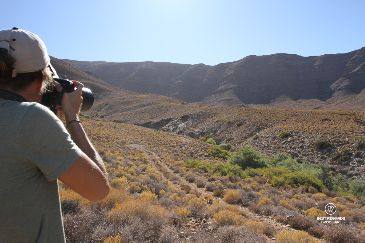 Woman taking a photograph of a baboon in the distance.