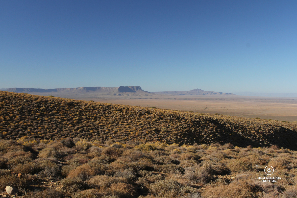 Wide open landscapes of the Tankwa Karoo under blue skies.