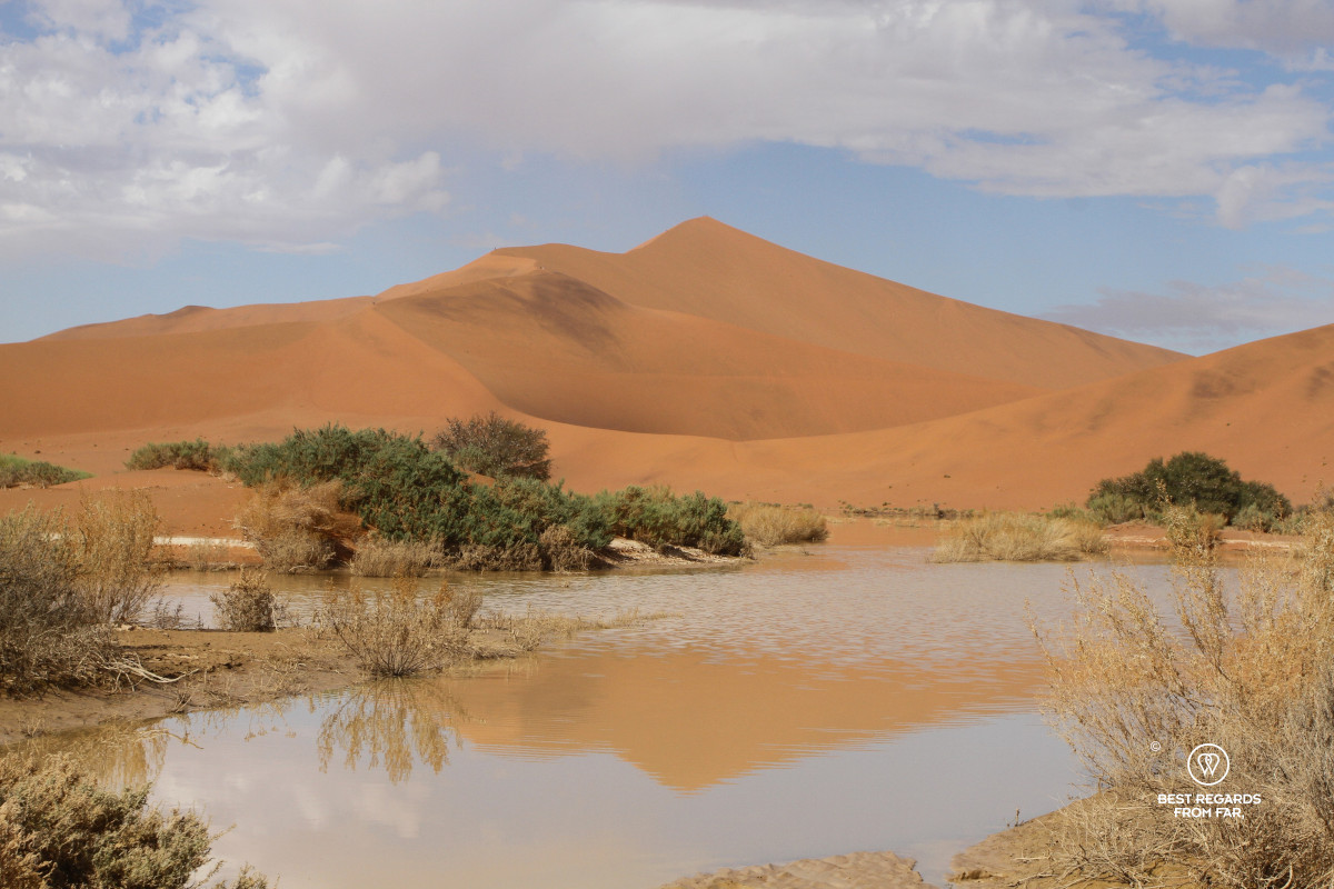 Big Daddy sand dune reflected in a rare water pond in Namibia.