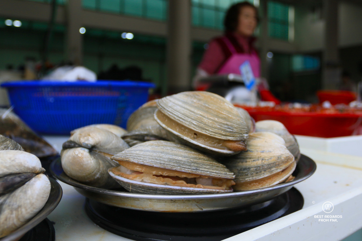 Clams at the Busan Jagalchi market.