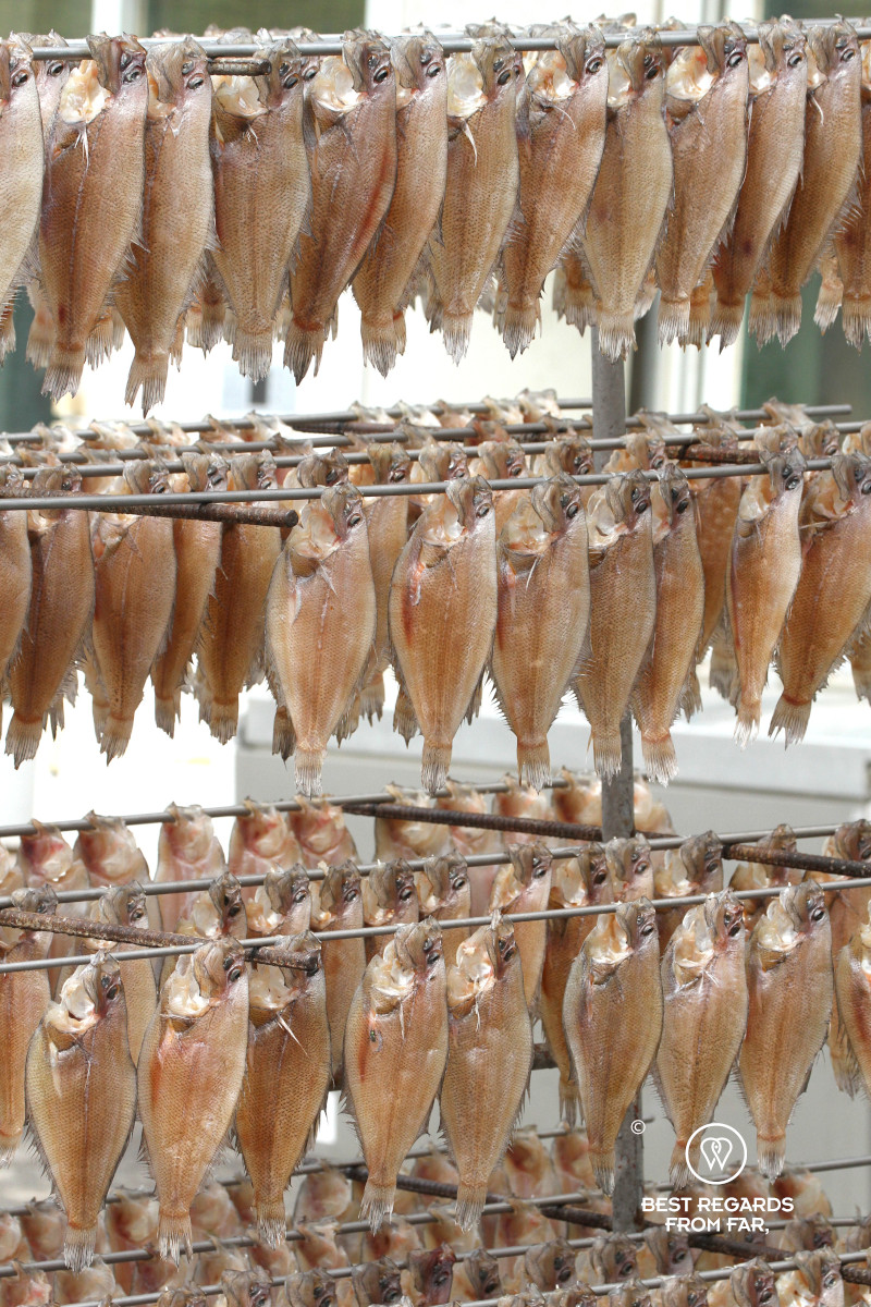 Drying fish at Busan Jagalchi market.