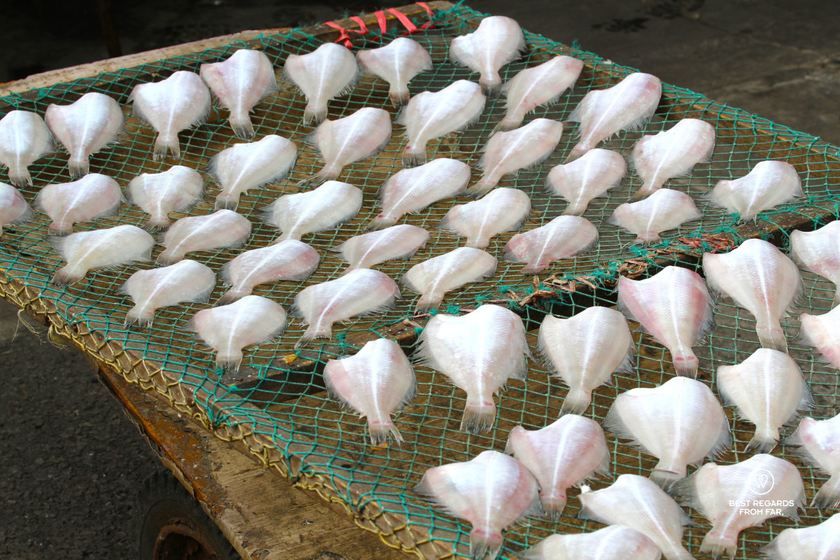 Fish drying on the Busan Jagalchi market.