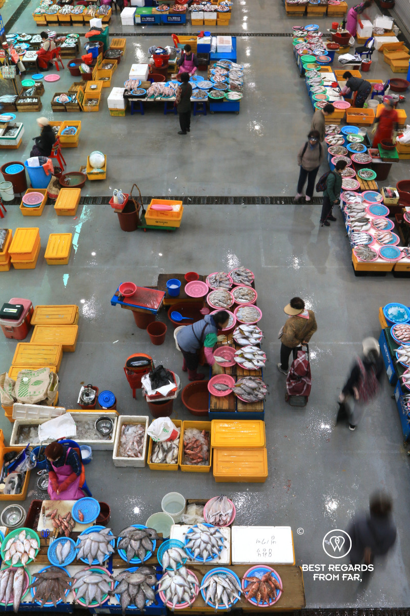 Busan Jagalchi market fish stalls from the top.