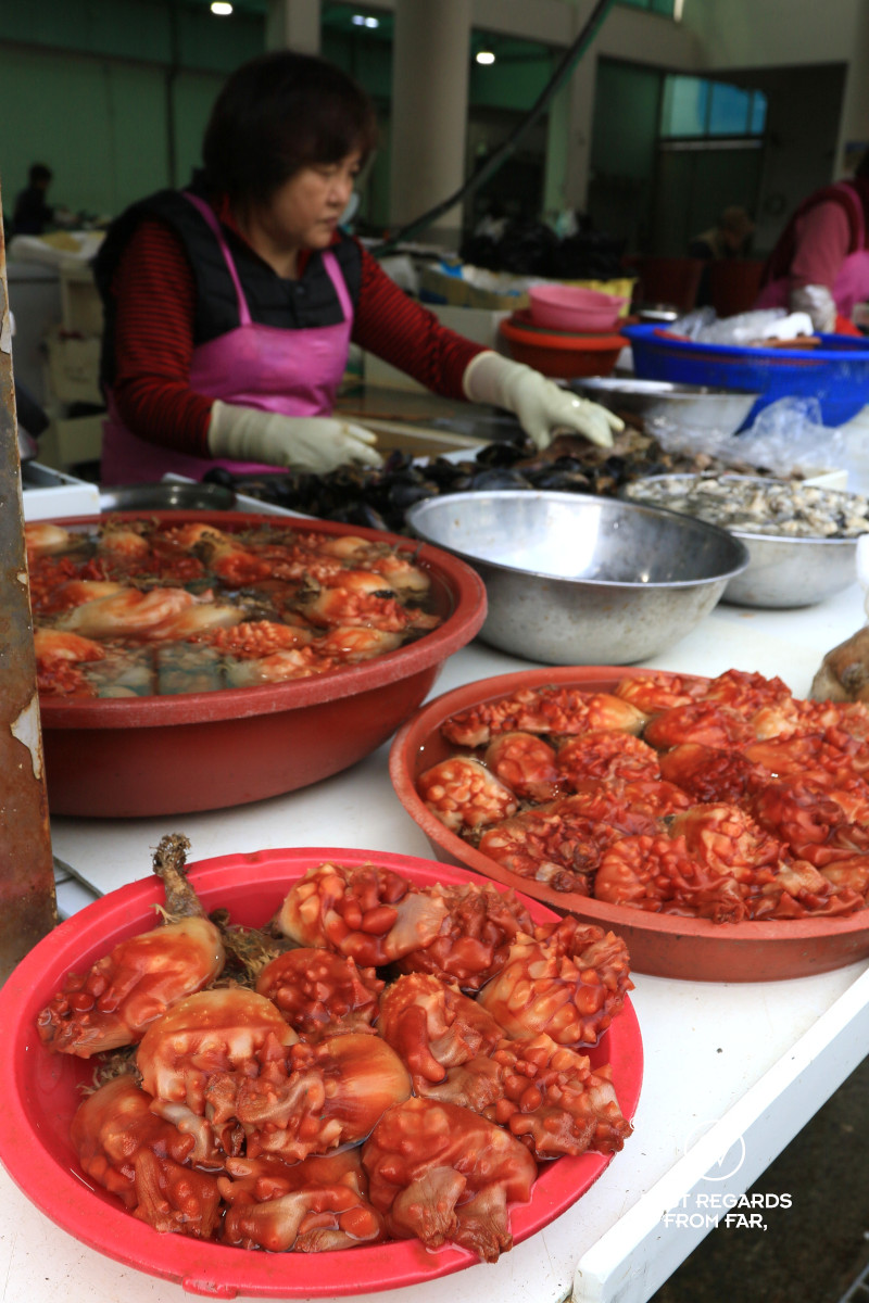 Seafood at the Busan Jagalchi market.