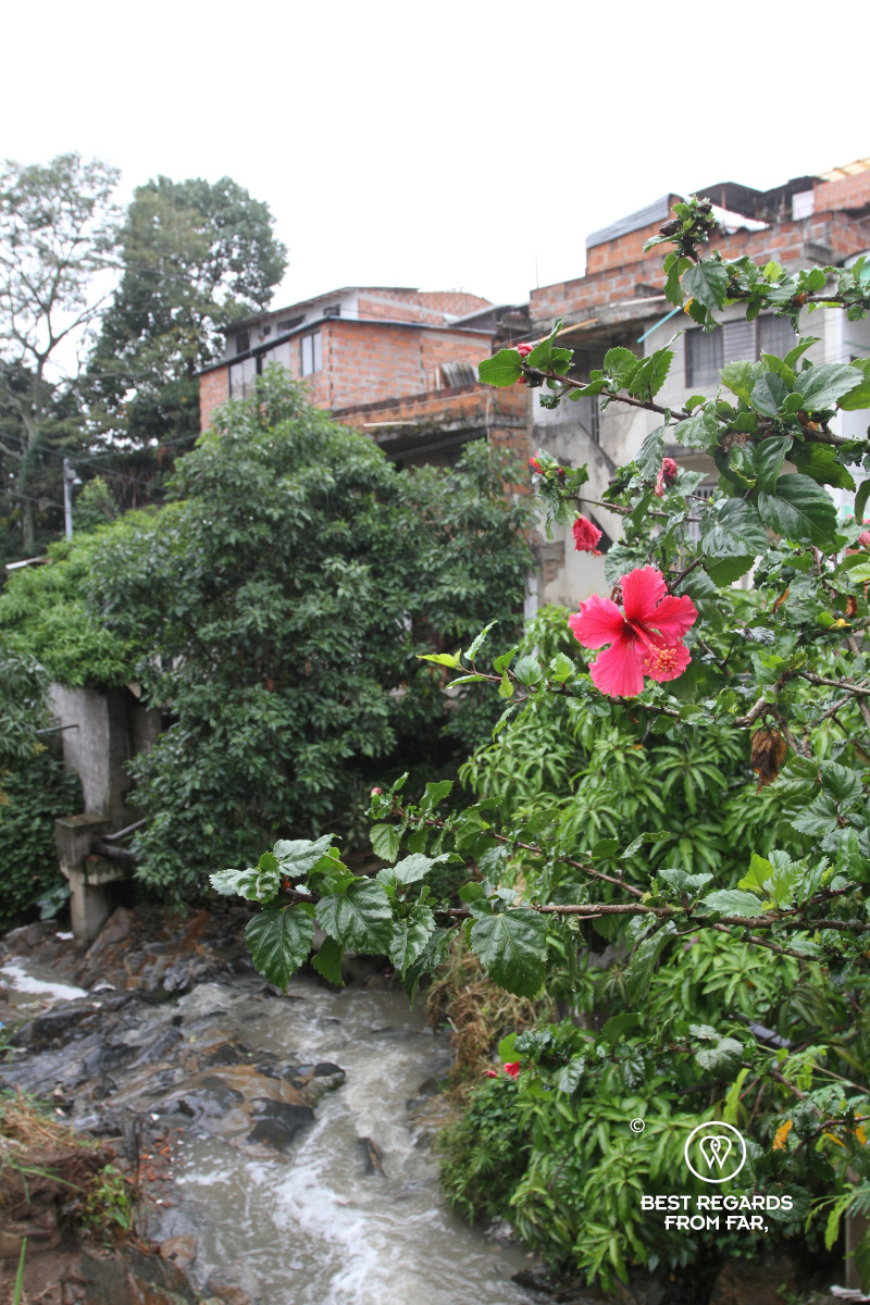 Comuna 13's brick houses in Medellin.