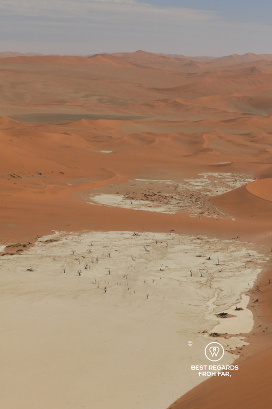 Deadvlei surrounded by red dunes seen from above.