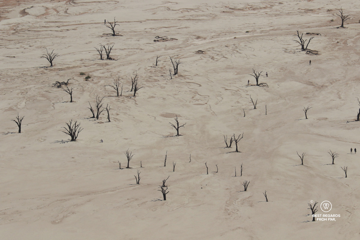 Dead trees and humans taken from above in the Deadvlei.
