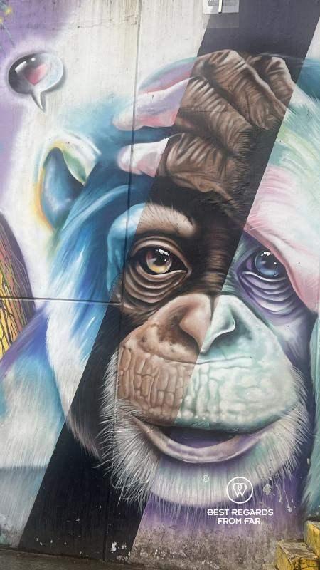 Street art of a monkey in the streets of Comuna 13 in Medellin.