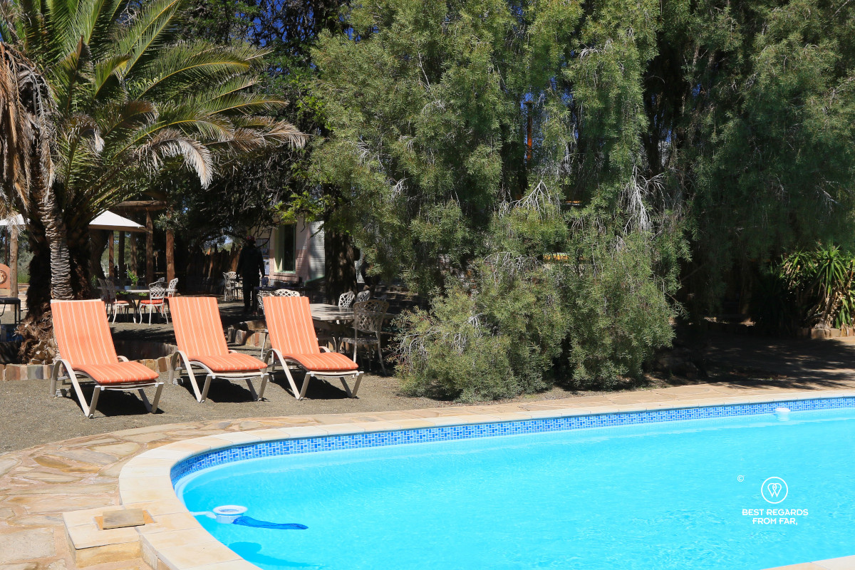 Swimming pool in the sun with sun beds at the BuellsPort Lodge & Farm.