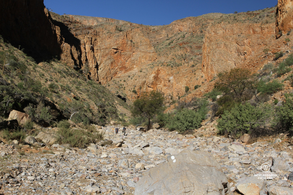 Two hikers walking through a rocky and wide dry riverbed along the Naukluft Hiking Trail, surrounded by steep red canyon walls and a few trees.