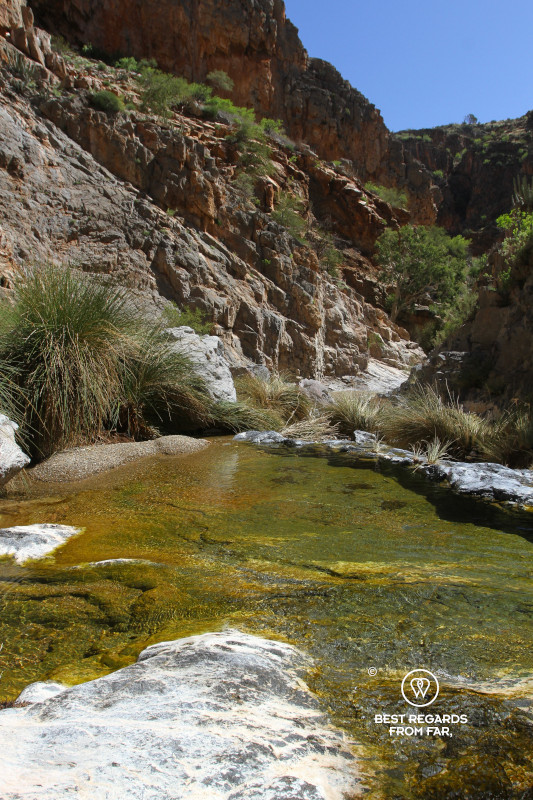 Crystal-clear rock pool lit by the sun in a canyon with red canyon walls.
