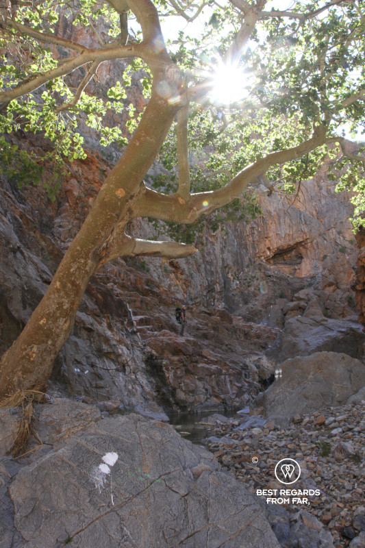 Hiker following the white trail markers in a canyon with the sun peeping over the ridge.