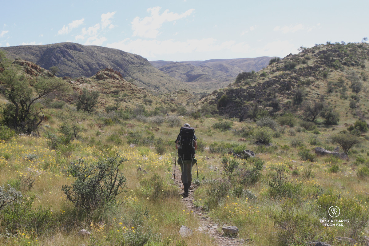 Hiker on a narrow trail in the green Naukluft Mountains of Namibia.