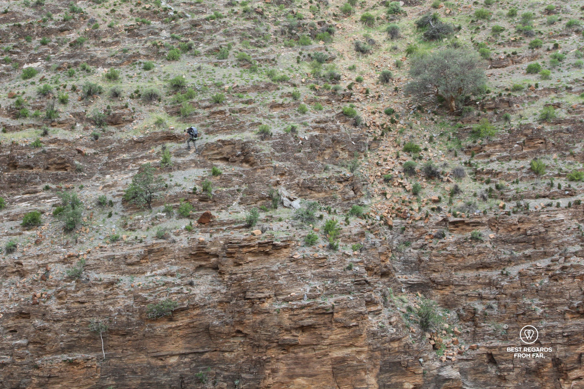 Hiker climbing up a steep trail.