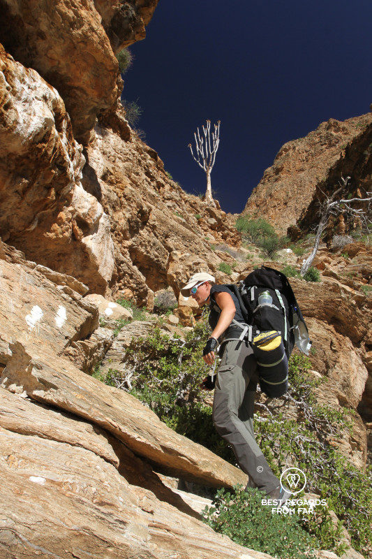 Hiker with large backpack hiking up along a steep trail of red rocks under a blue sky.