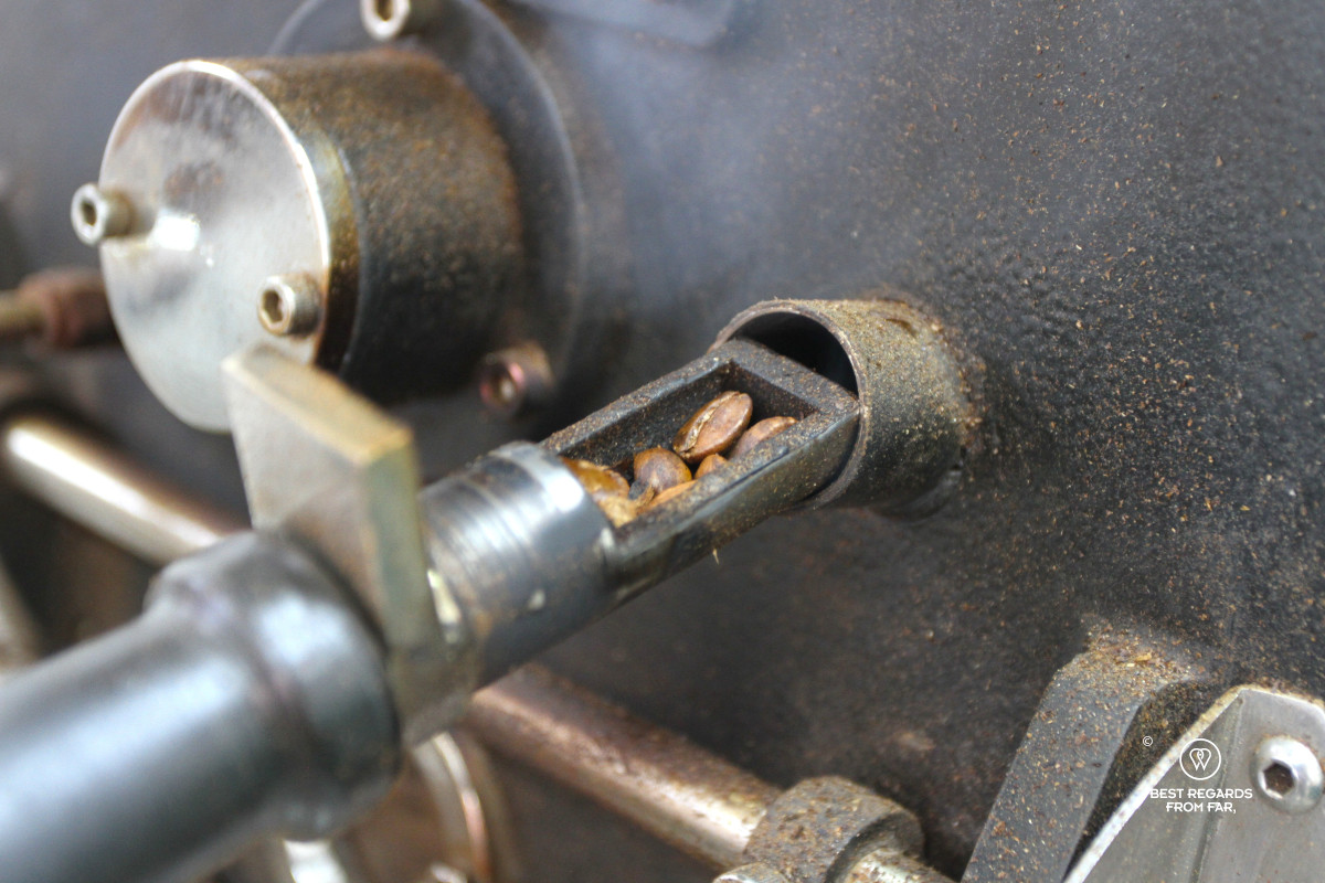 Sample of beans being roasted.