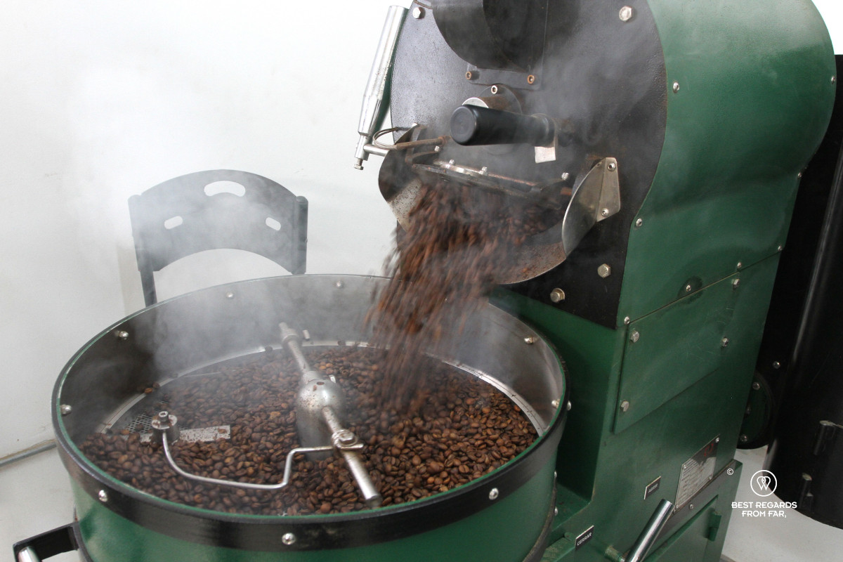 Coffee roasting machine with freshly roasted beans fall onto a tray to cool down.