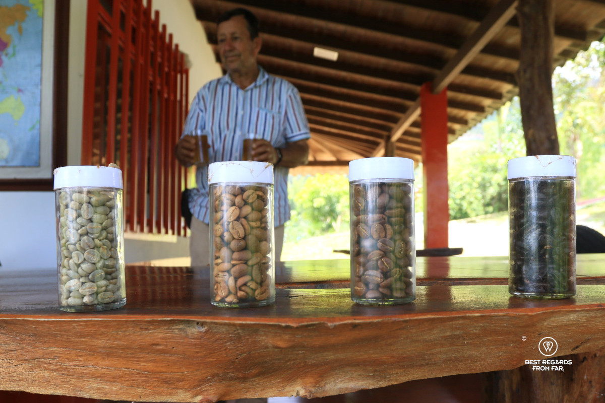 4 transparent containers containing coffee beans that have been roasted differently/