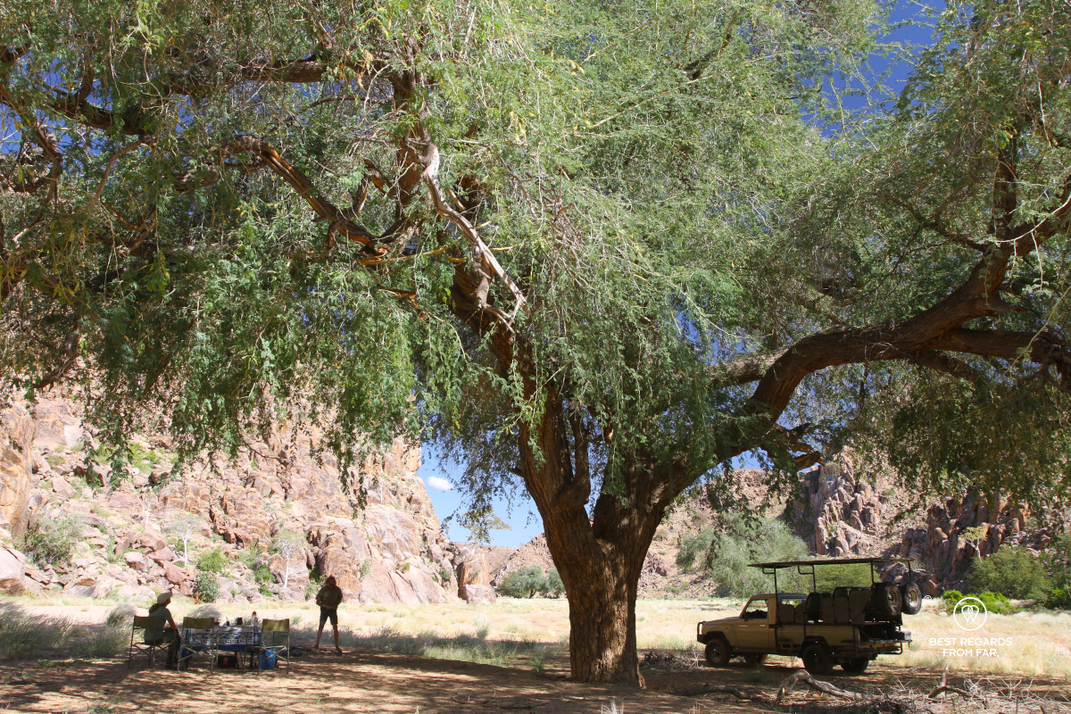 Game drive vehicle parked under large tree with two people by a table and foldable chairs in a dry riverbed.