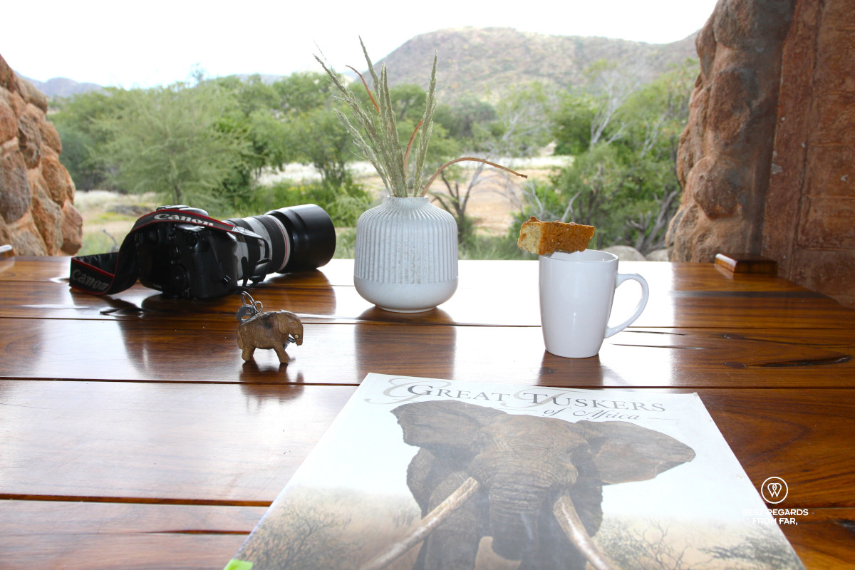 Wooden table with a book about elephants, coffee and a camera and view on green landscape.