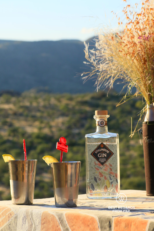 Two metal cups with a slice of lemon on the side and a bottle of gin next to it in a green landscape at sunset.