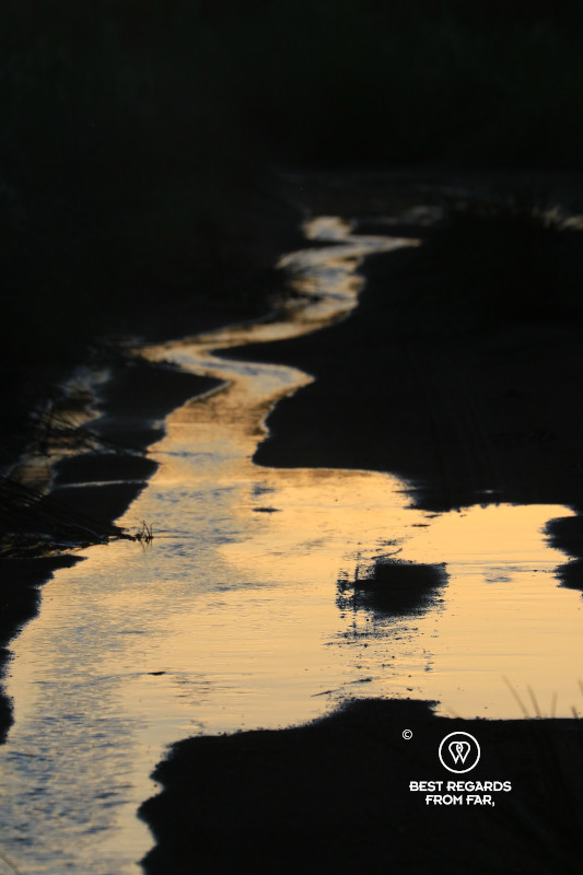 Small stream in the dark with sunlight reflecting on its surface.