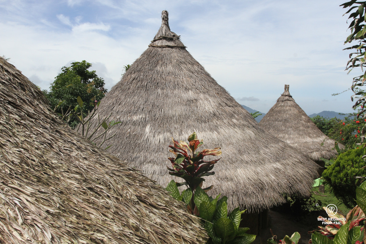 Close-up of thatched roofs of a Wiwa village.