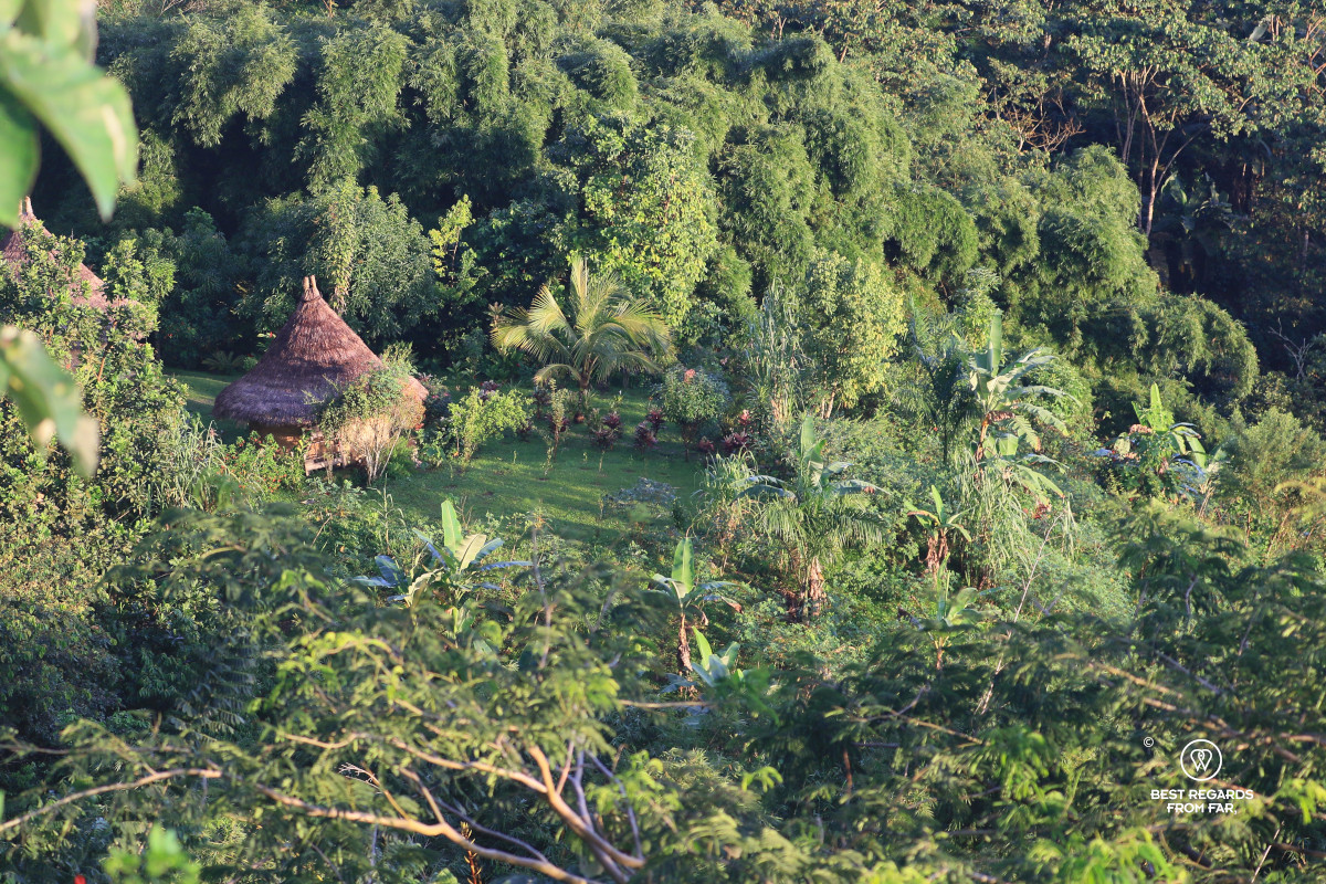 Wiwa village of Awindua with its thatched roof sticking out of a small clearing in the jungle.