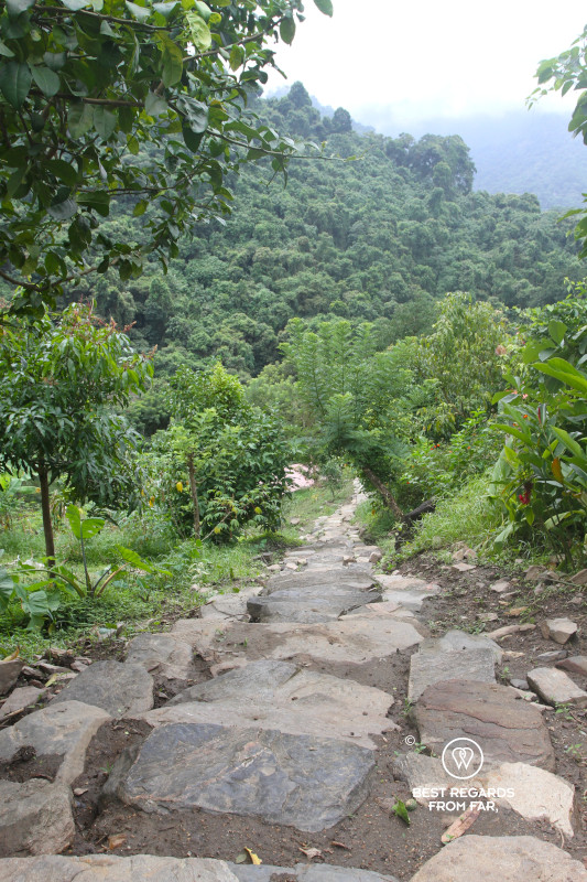 Ancient stairs along a green mountain slope in Colombia.