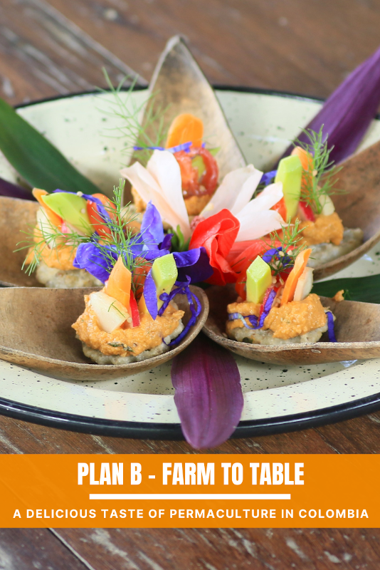 Pinterest pin with colorful bites and the text: "Plan B - Farm to Table, a delicious taste of permaculture in Colombia".