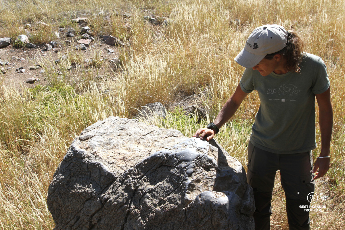 Author Marcella van Alphen dressed in green touching a large stone that was polished by elephants.