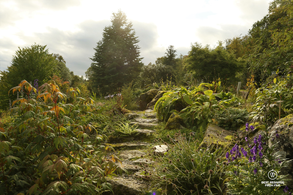 A path in the Botanical Garden, Tromso, Norway.