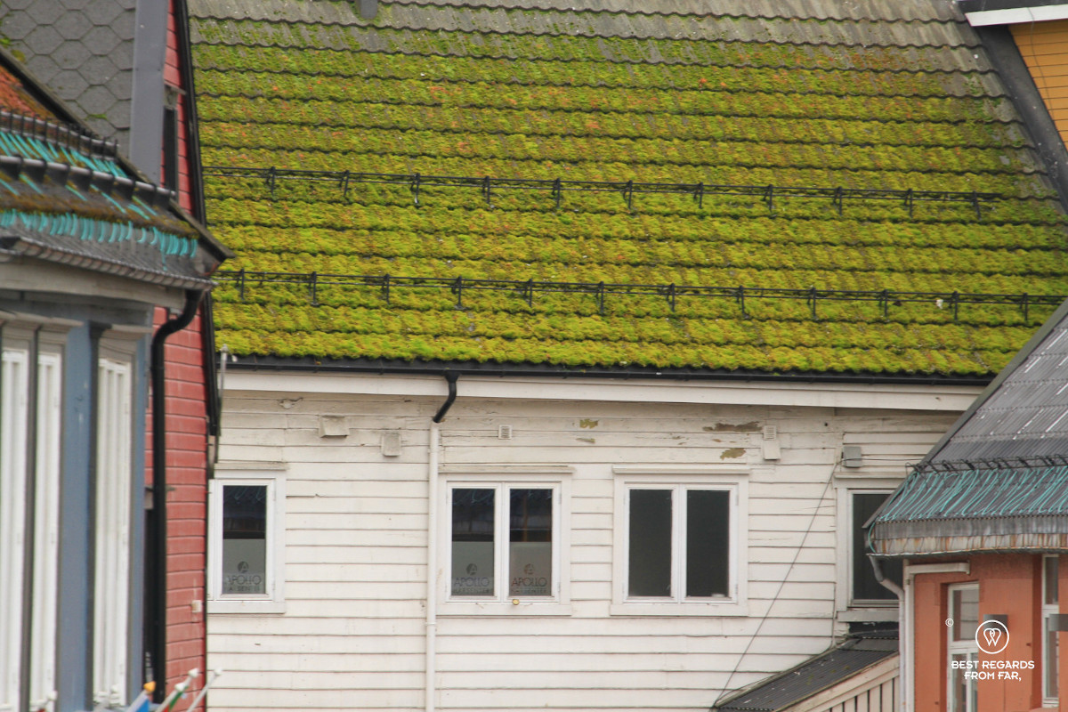 Tromso roofs in Norway.